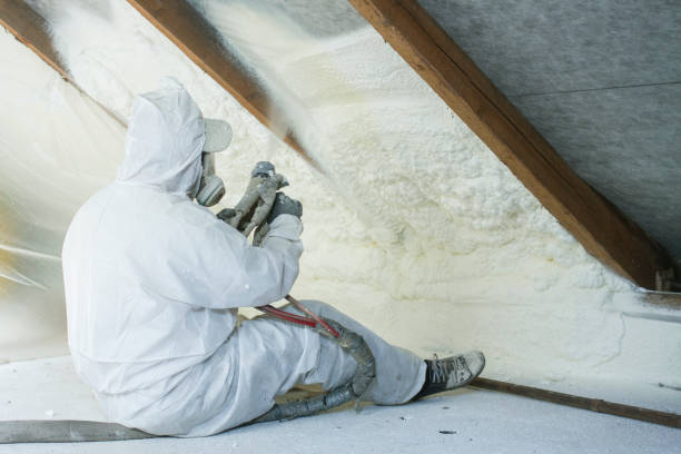 Best Batt and Roll Insulation  in Rural Retreat, VA